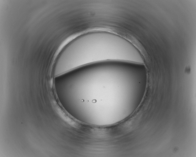 X0000091931036200709051236
