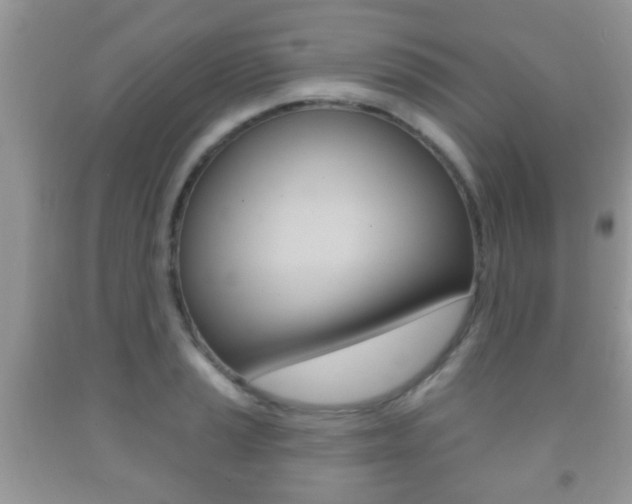 X0000091931037200709051236