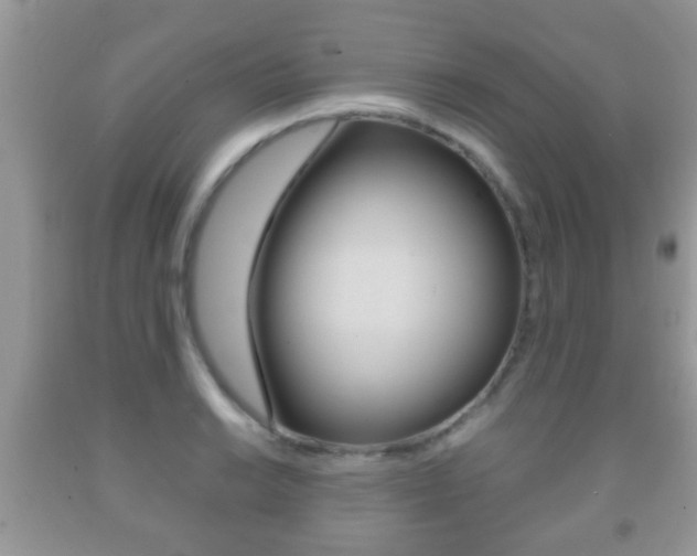X0000091931038200709051236