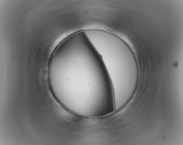 X0000091931040200709051236