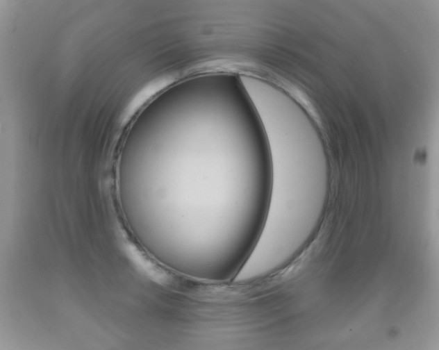 X0000091931042200709051237