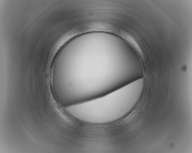 X0000091931043200709051237