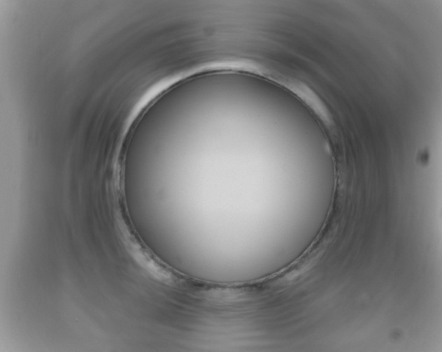 X0000091931044200709051237