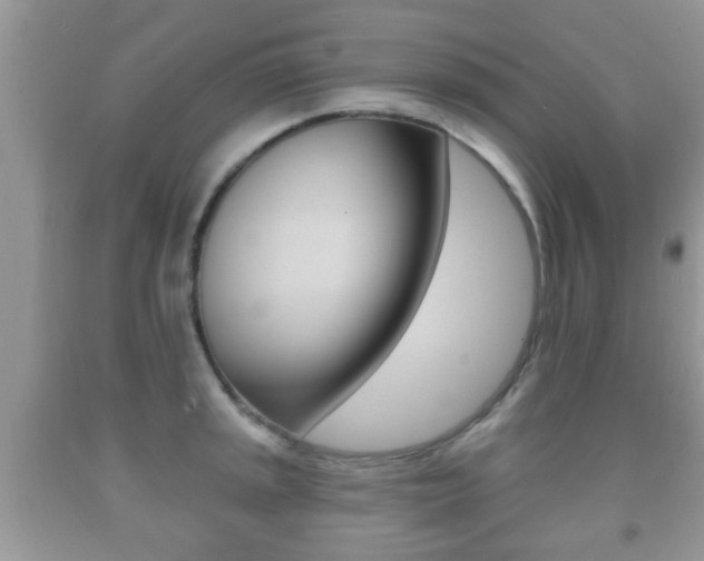 X0000091931045200709051237