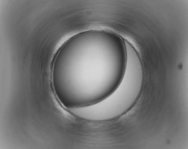 X0000091931046200709051237