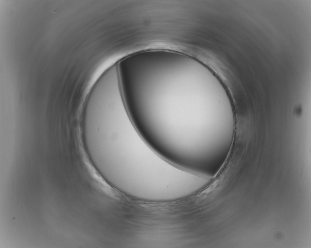 X0000091931048200709051237