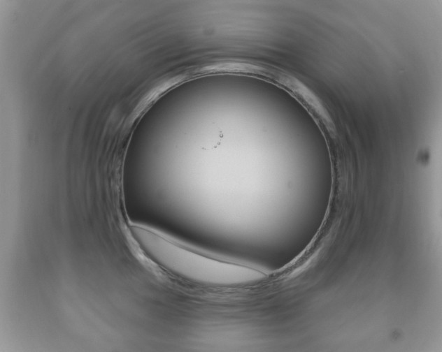 X0000091931049200709051237