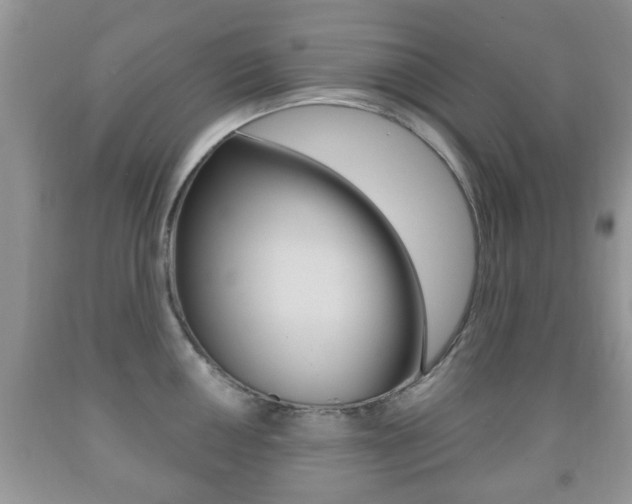 X0000091931050200709051237