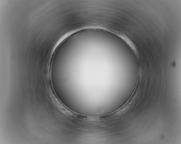 X0000091931052200709051237