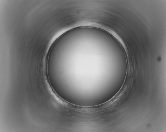 X0000091931053200709051237