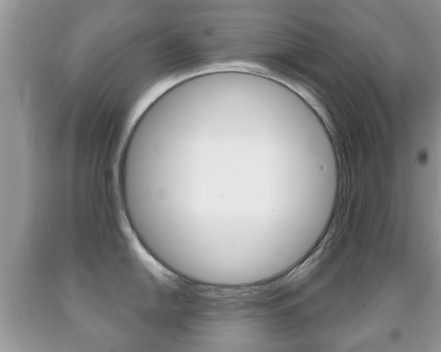 X0000091931054200709051237