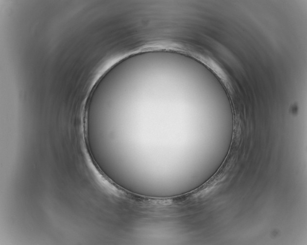 X0000091931055200709051237