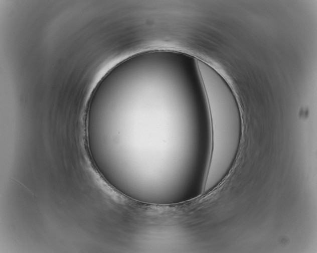 X0000091931056200709051237