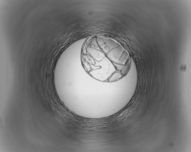 X0000091931057200709051236