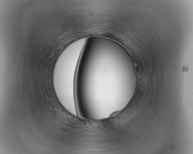 X0000091931058200709051236