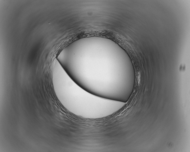 X0000091931059200709051236