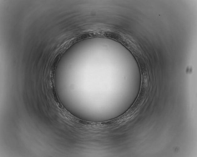 X0000091931060200709051236