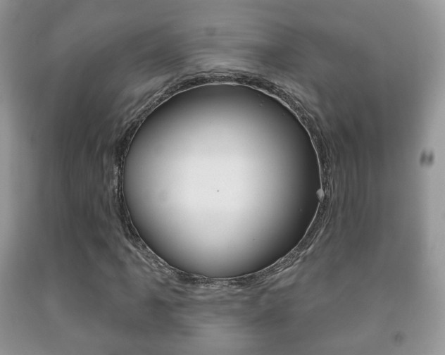 X0000091931061200709051236