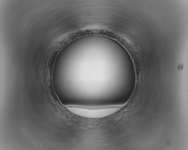 X0000091931062200709051236