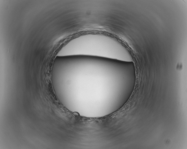 X0000091931063200709051236