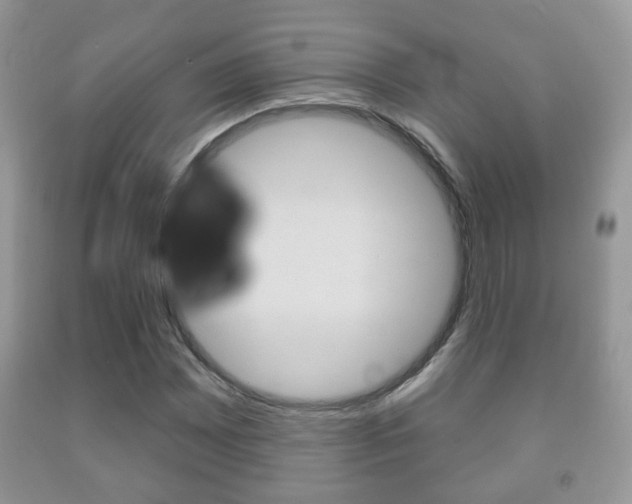 X0000091931065200709051236