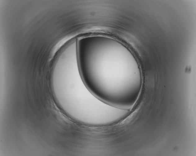 X0000091931066200709051236
