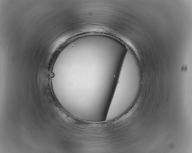 X0000091931067200709051236