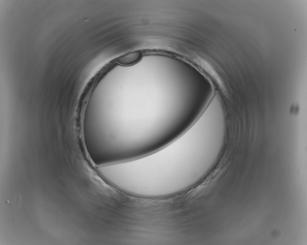 X0000091931068200709051236