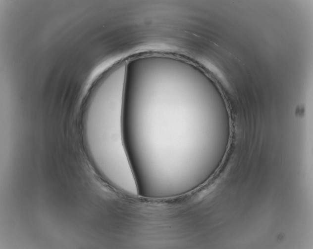 X0000091931070200709051236