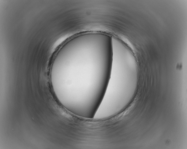 X0000091931071200709051236