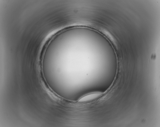 X0000091931072200709051236