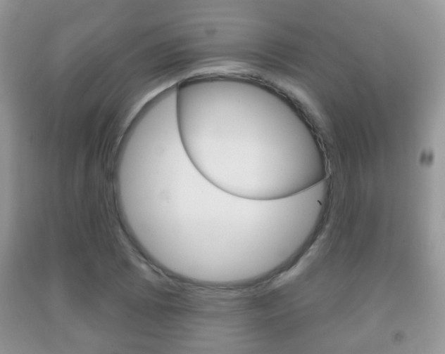 X0000091931073200709051236