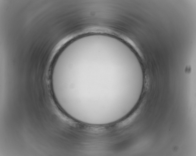 X0000091931074200709051236