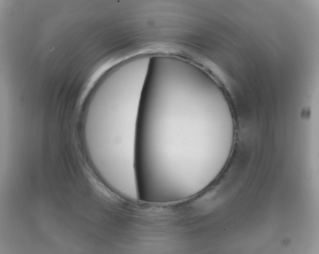 X0000091931075200709051236