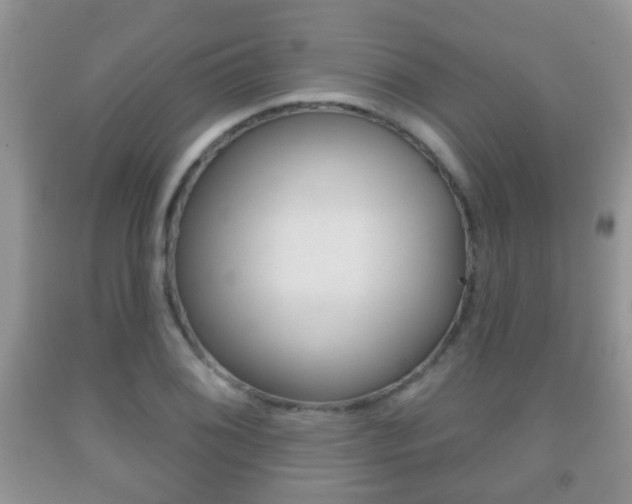X0000091931076200709051236