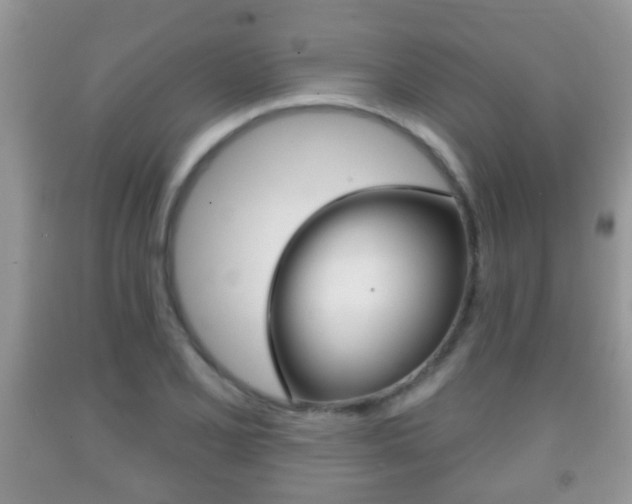 X0000091931077200709051236