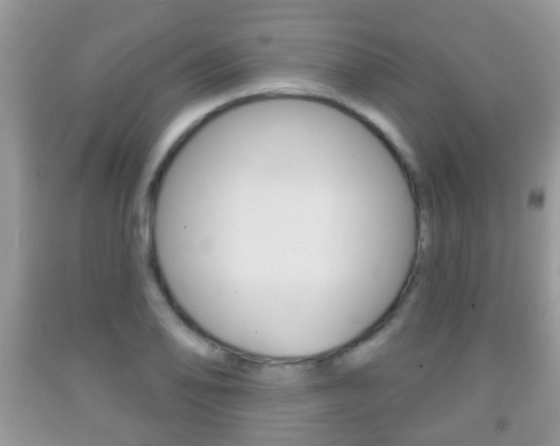 X0000091931078200709051236