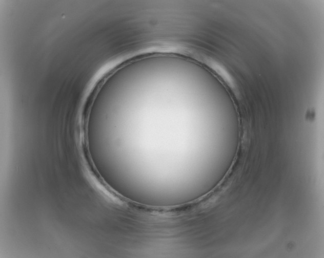 X0000091931080200709051236