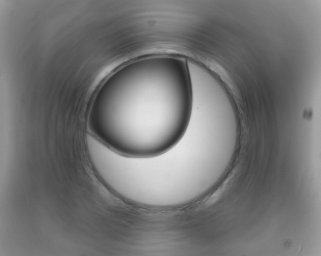 X0000091931081200709051236