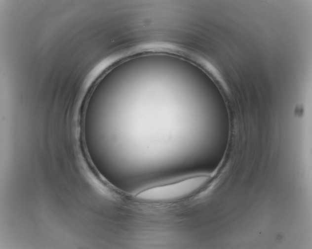 X0000091931082200709051236