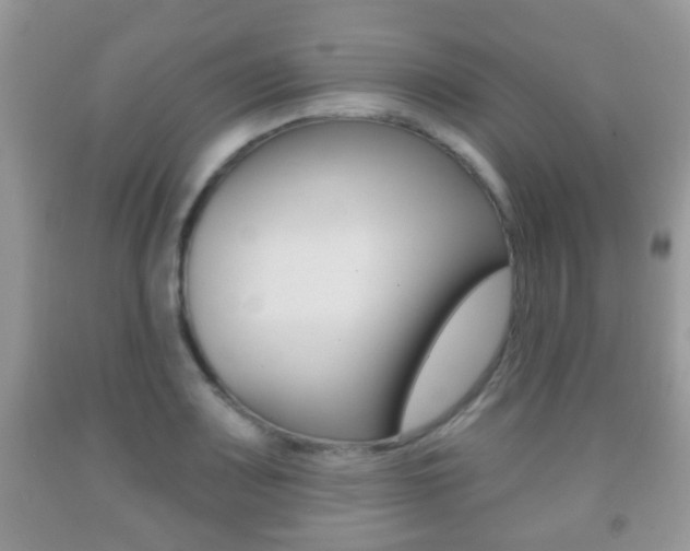 X0000091931083200709051236