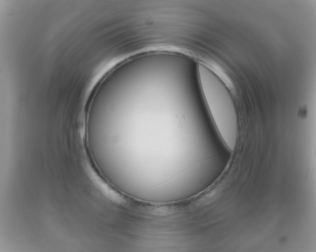 X0000091931084200709051236
