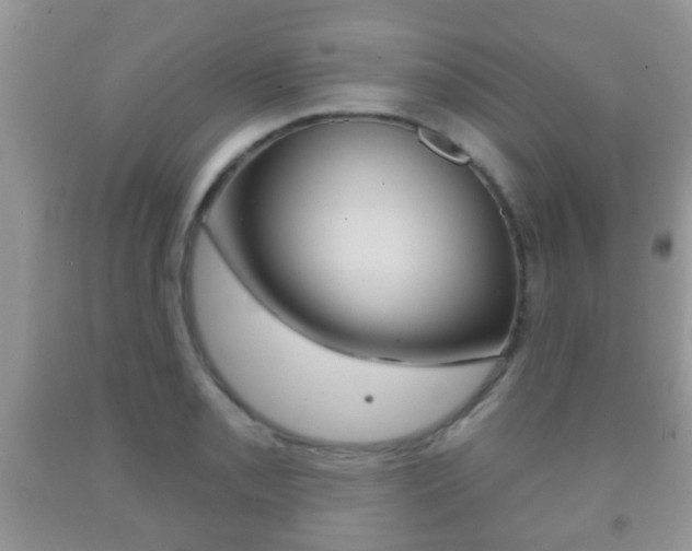 X0000091931085200709051236