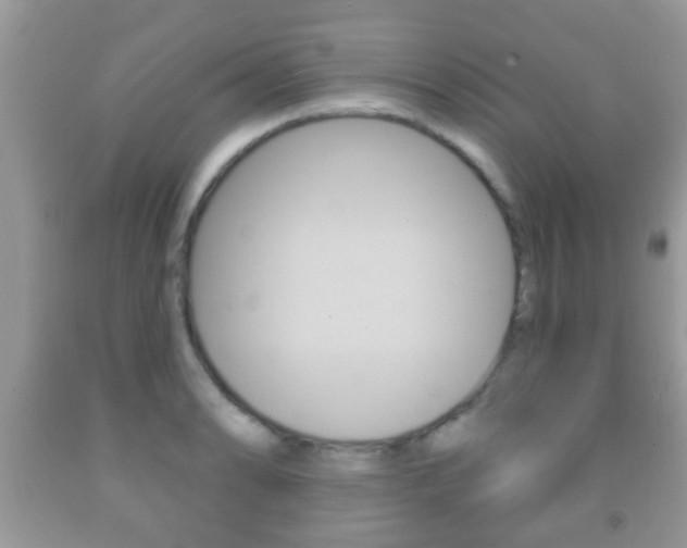 X0000091931086200709051236