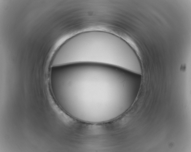 X0000091931088200709051236