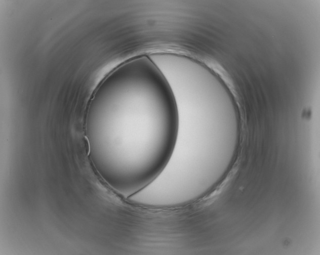 X0000091931089200709051236