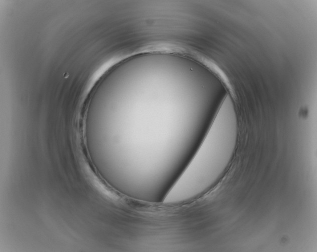 X0000091931091200709051235