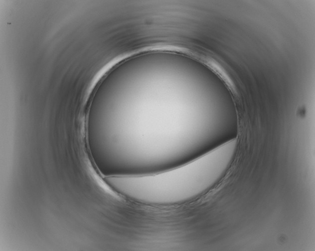 X0000091931092200709051235