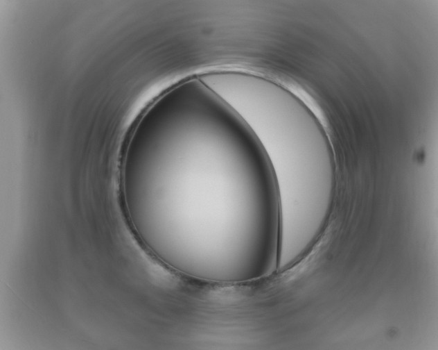 X0000091931093200709051235
