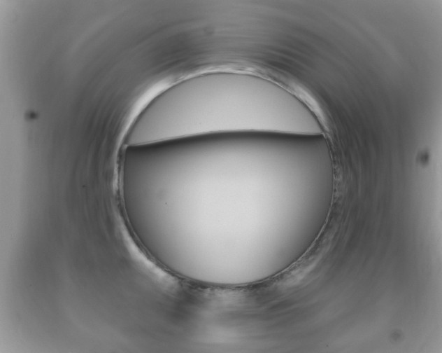 X0000091931095200709051235